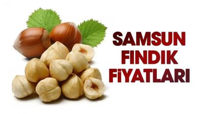 1 Mayıs Cuma fındık fiyatları ne kadar? Samsun fındık fiyatları