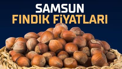 4 Mayıs Pazartesi fındık fiyatları ne kadar? Samsun fındık fiyatları