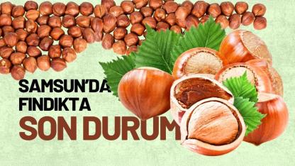 5 Mayıs Salı fındık fiyatları ne kadar? Samsun fındık fiyatları