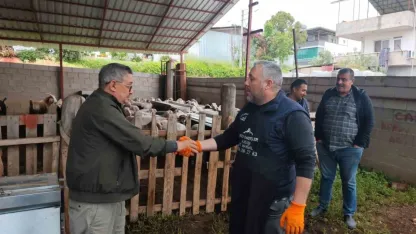 Kurbanlıklar satışa çıktı, pazarlıklar kızıştı