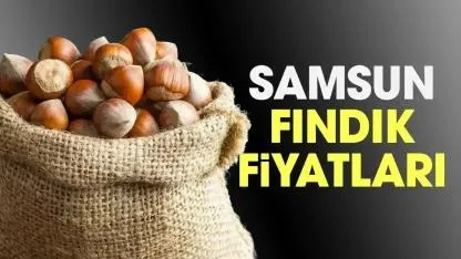 8 Mayıs Cuma fındık fiyatları ne kadar? Samsun fındık fiyatları