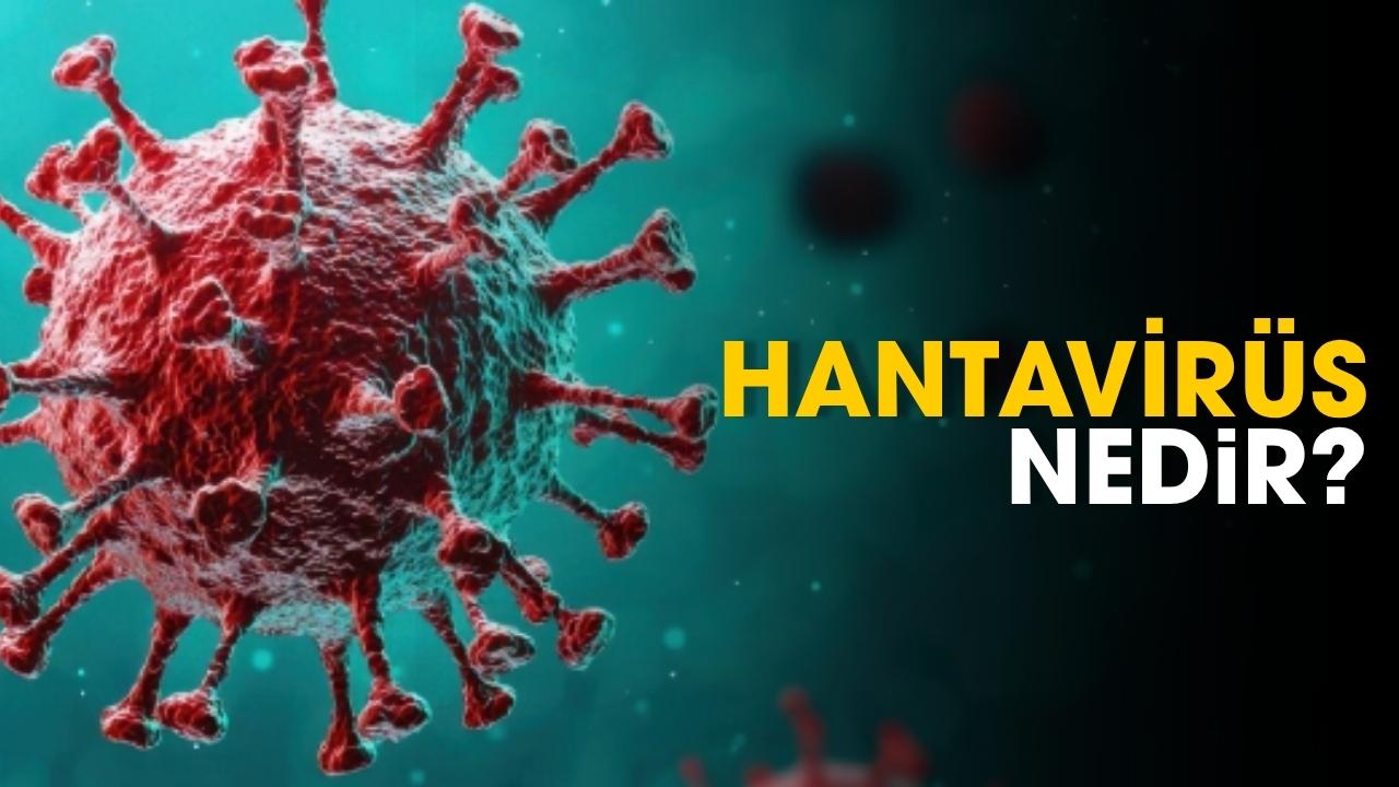 Hantavirüs nedir?