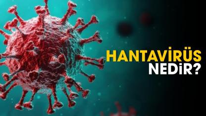 Hantavirüs nedir?