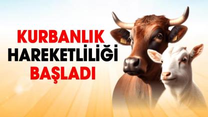 Hayvan pazarında kurban hareketliliği