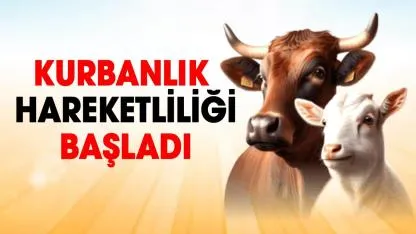 Hayvan pazarında kurban hareketliliği