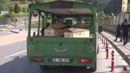 İstanbul'da ormanda dehşet!  Asılı şekilde erkek cesedi bulundu