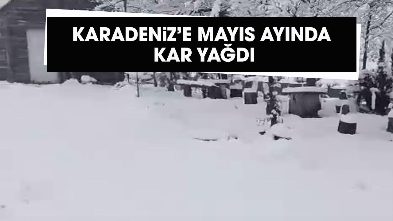 Karadeniz'in Ordu ve Tokat illerinde mayısta kar yağdı
