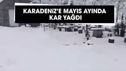 Karadeniz'in Ordu ve Tokat illerinde mayısta kar yağdı