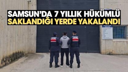 Samsun'da 7 yıllık hükümlü saklandığı yerde yakalandı