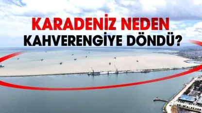 Samsun’da rekor yağış! Karadeniz neden kahverengiye döndü?