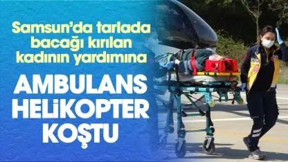 Samsun'da tarlada bacağı kırılan Fatma Çakıcı ambulans helikopterle hastaneye yetiştirildi