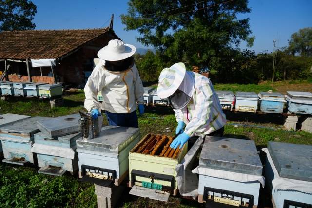 Samsun'da Komiser Savaş Koç, arıcılık için cihaz geliştirdi