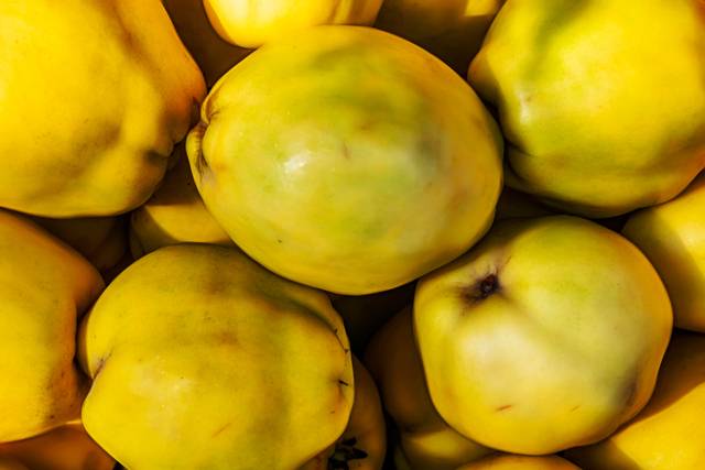 Ayvayı yemek deyimi ne anlama geliyor?