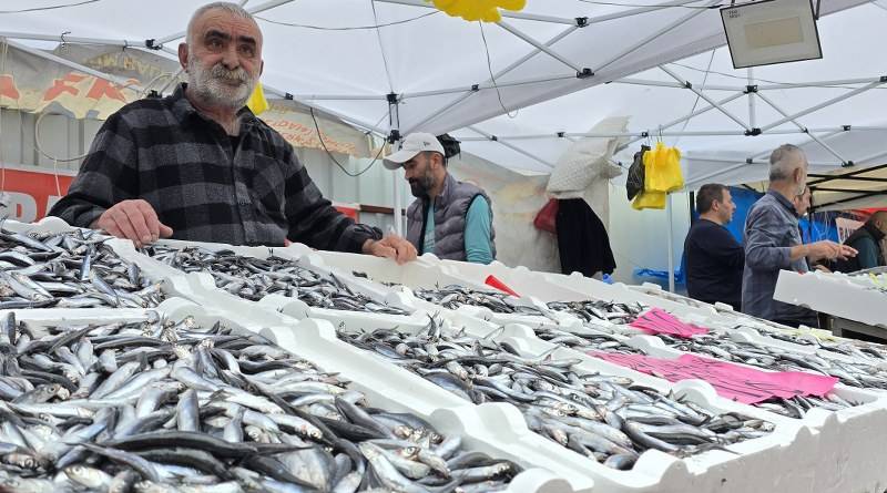 Balık tezgahlarında hamsi bolluğu