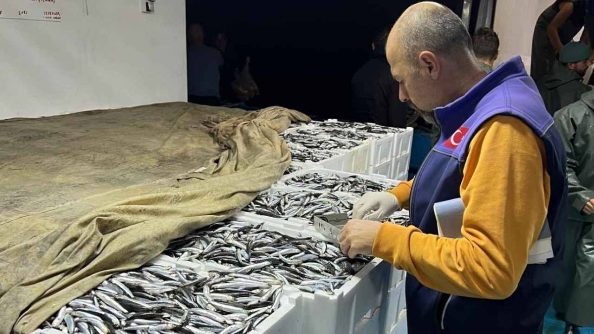 Samsun'da avlanan balıklar kontrol ediliyor