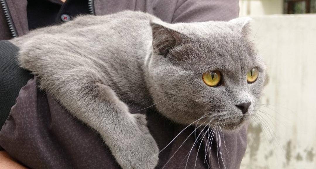 Boşanma protokolüne öyle bir madde eklediler ki!