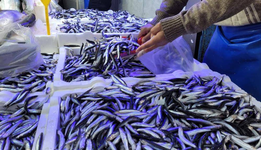 Samsun'da hamsi ve istavrit 75 TL