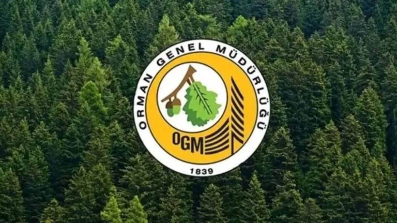 OGM 262 işçi alımı ne zaman açıklanacak?