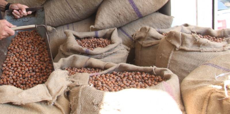 Fındık piyasasında son dakika gelişmesi! Fındık fiyatları düştü mü?