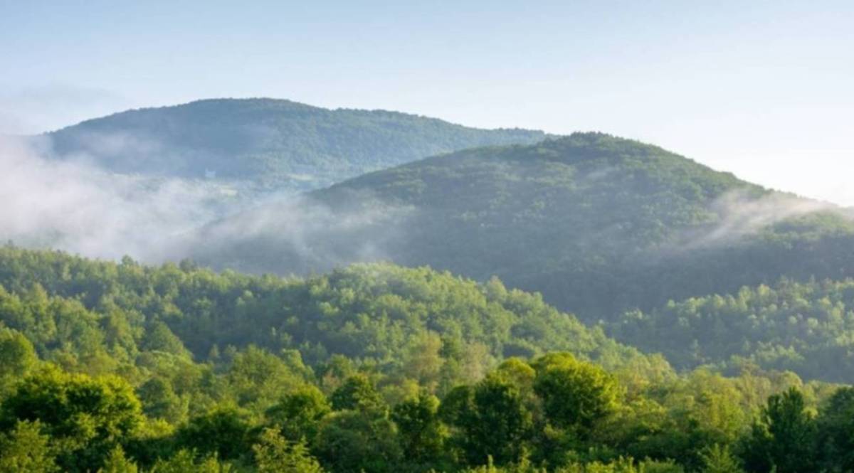 OGM 262 işçi alımı ne zaman açıklanacak?
