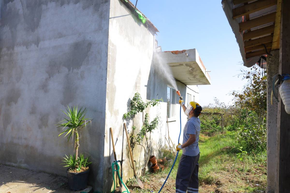 Samsun Büyükşehir'den Kokarcaya karşı kışlık mücadele