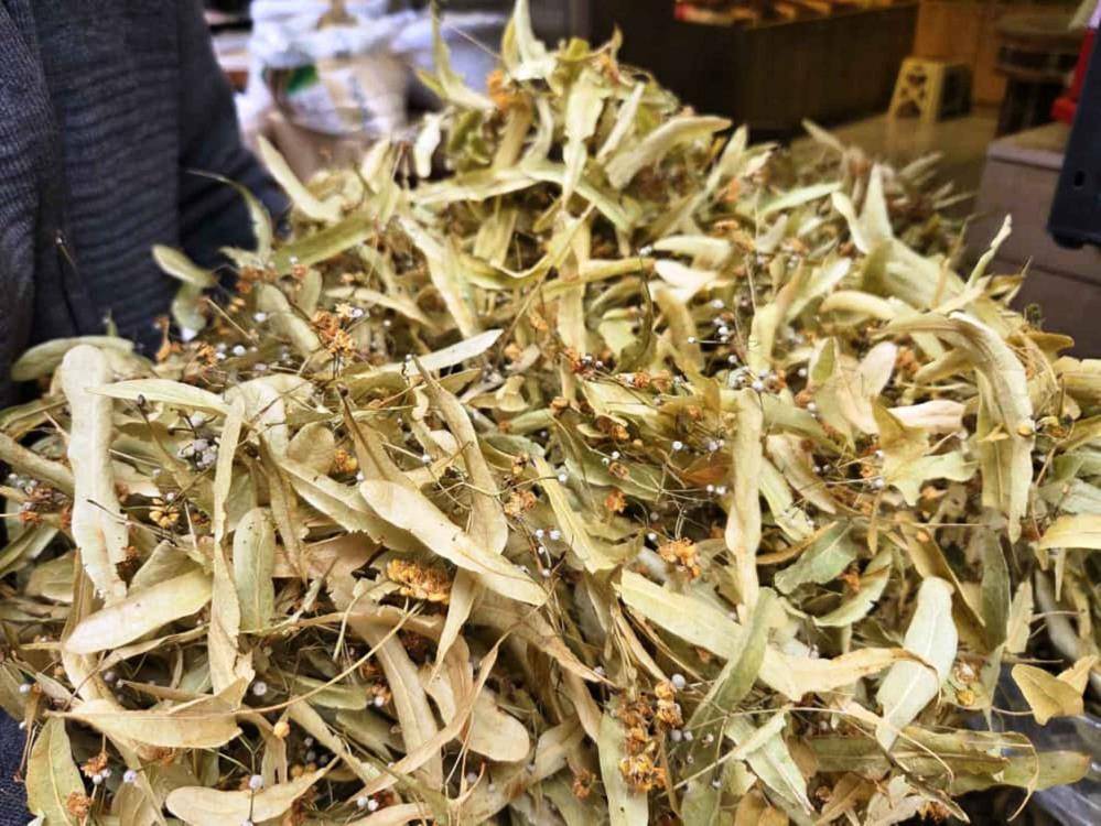 Şifa deposu ıhlamura Samsun'da ilgi arttı