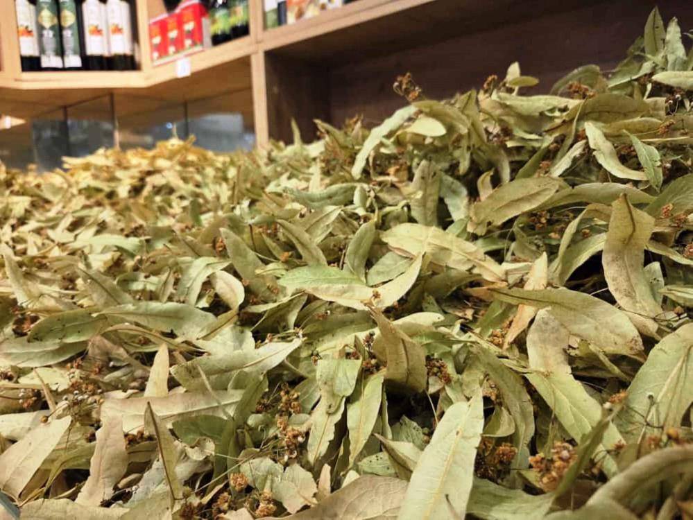 Şifa deposu ıhlamura Samsun'da ilgi arttı