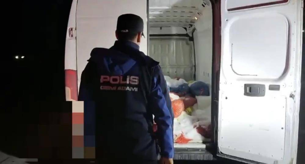 Samsun'da kaçak midye operasyonu
