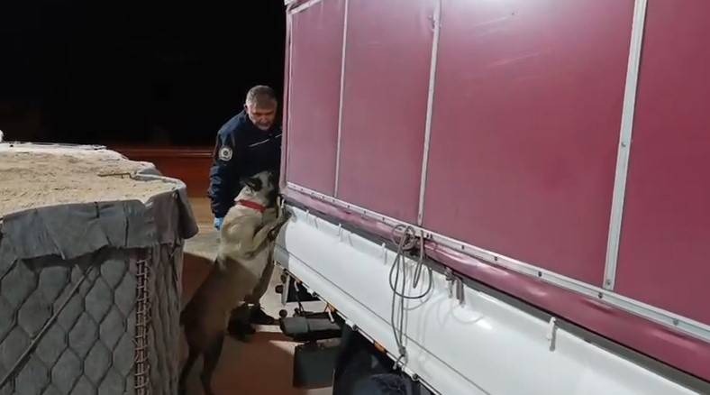 Samsun’da nakliye kamyonuna uyuşturucu baskını! Şila zehir buldu