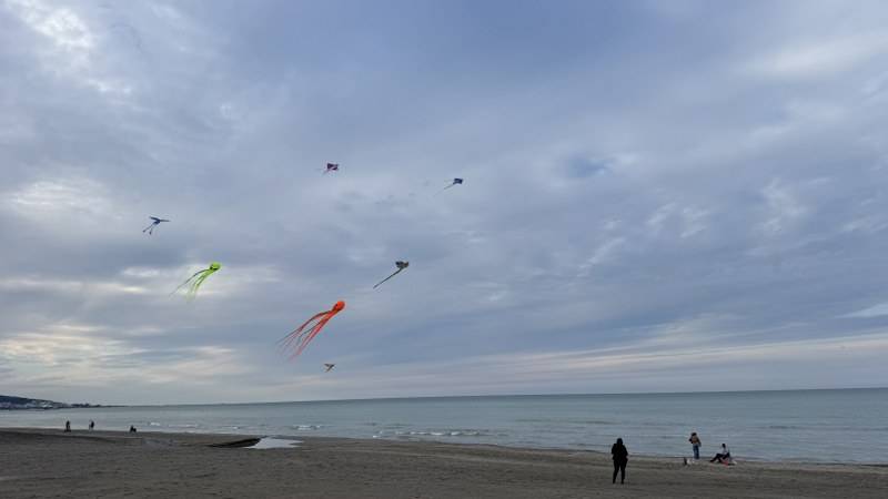 Samsun semaları uçurtmalarla renklendi