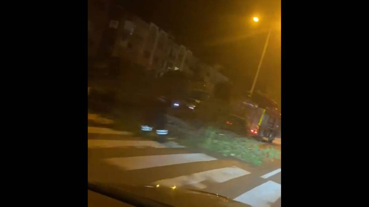 Samsun'da trafiğin aktığı yola ağaç devrildi!