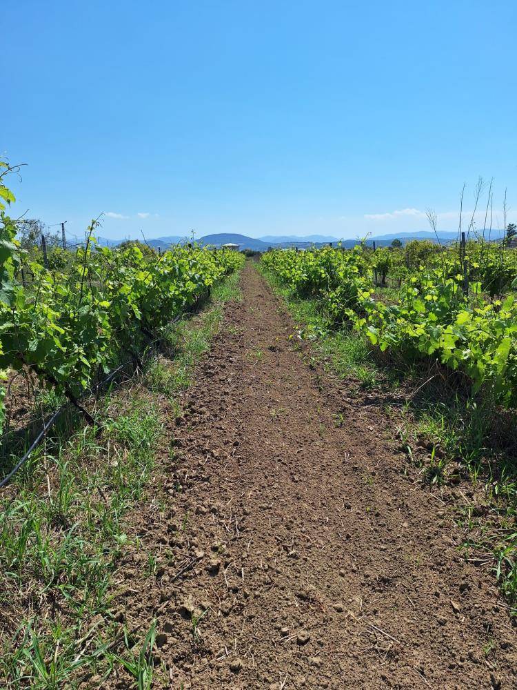 OMÜ projesi desteklenmeye hak kazandı