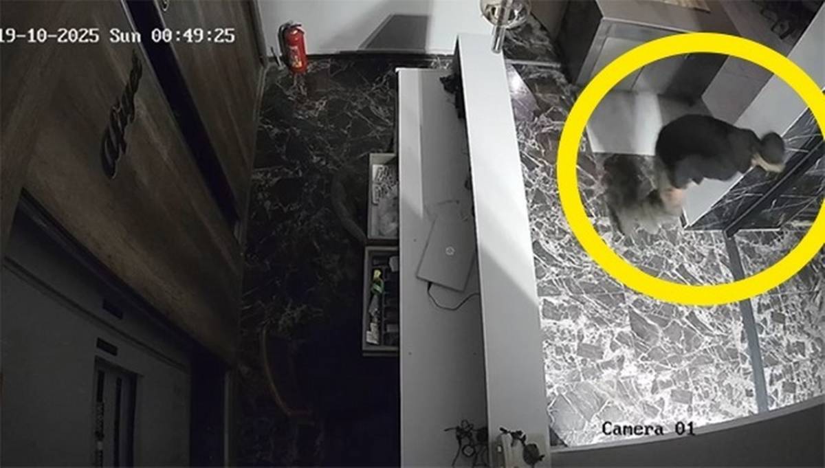 Samsun Çarşamba'da hırsız paniği