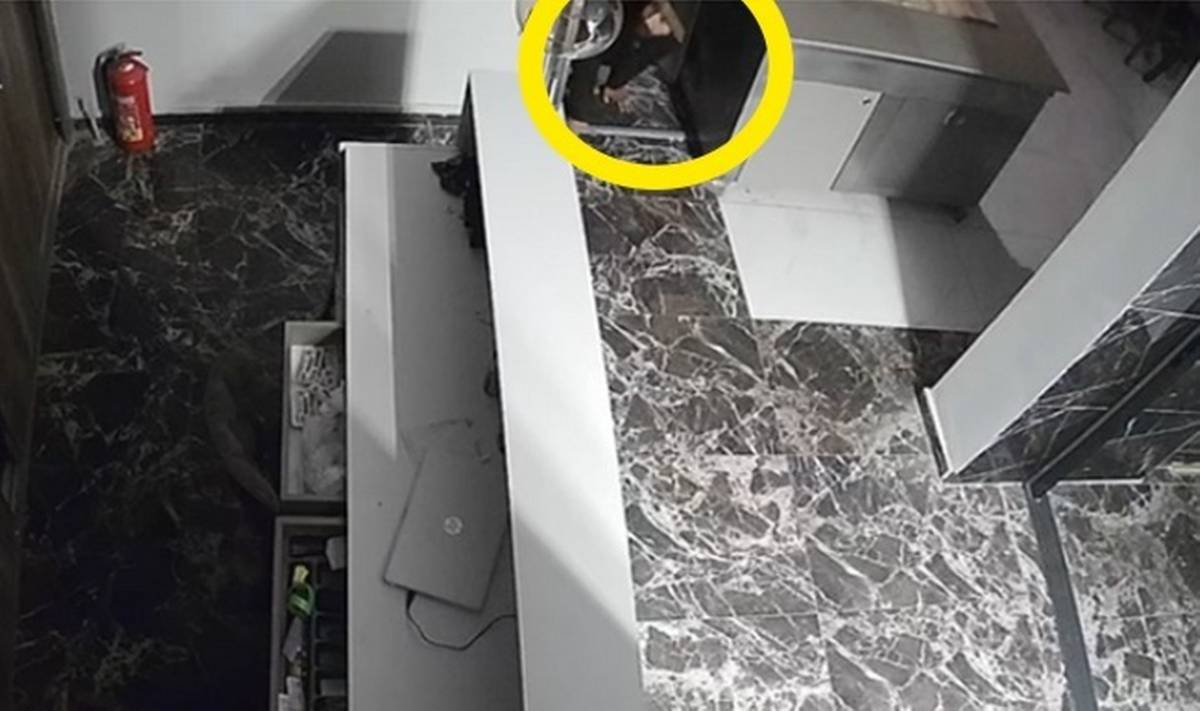 Samsun Çarşamba'da hırsız paniği