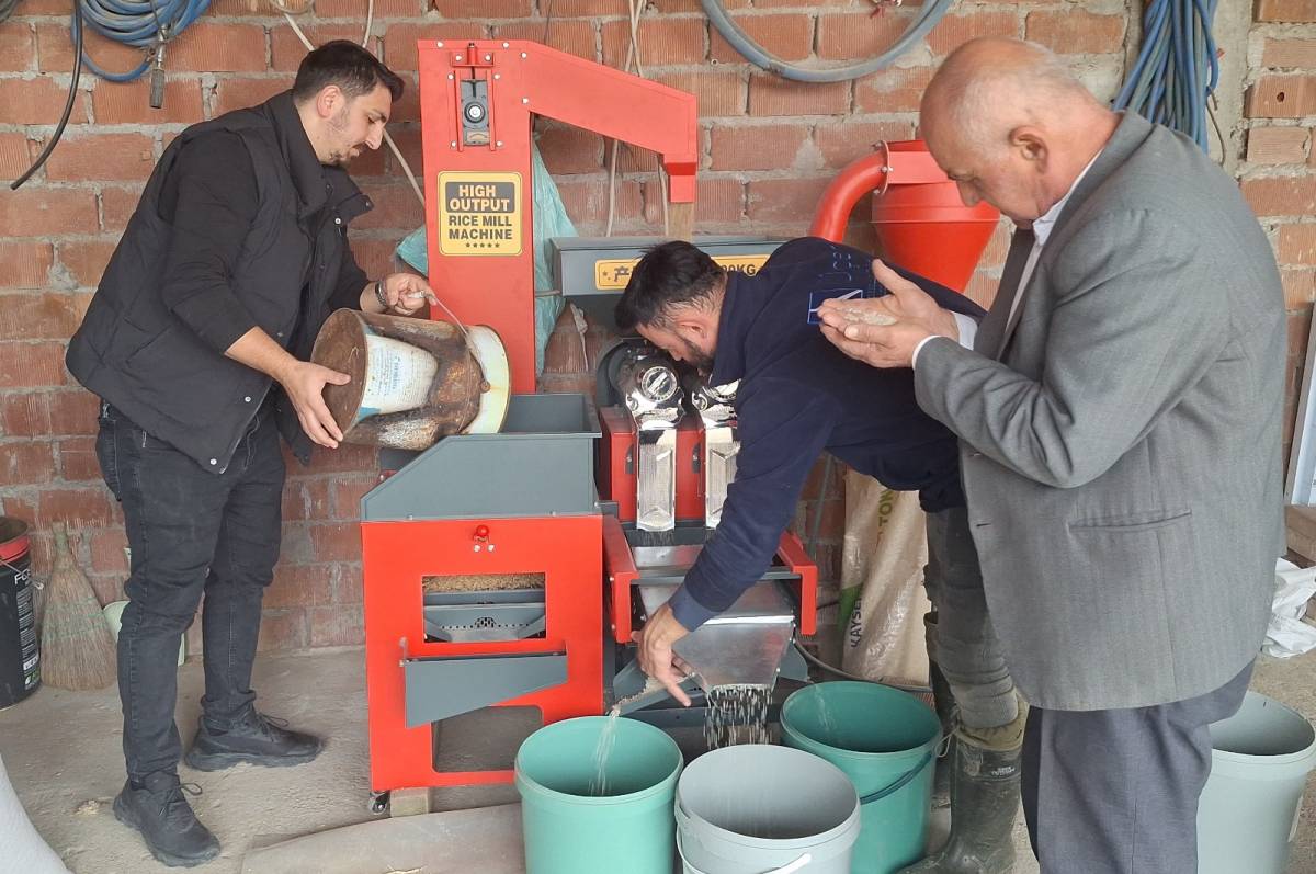 Bafra Ovası'nda kurulan makinede çeltiğin randımanı tespit ediliyor