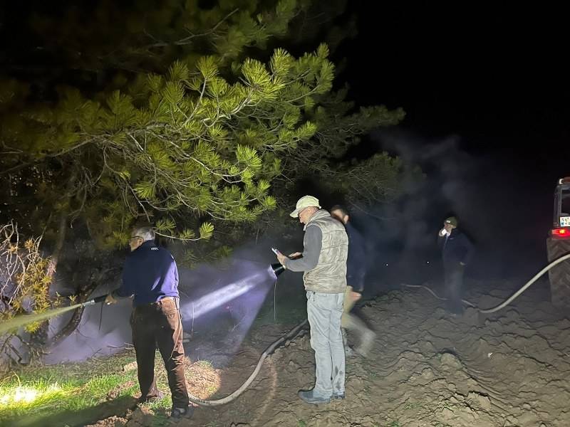 Bolu’da orman yangını