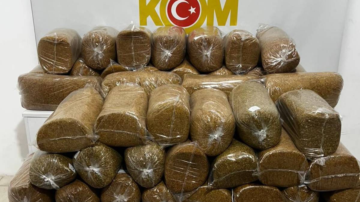Samsun’da kaçak tütün operasyonu: Minibüste 290 kilo tütün ele geçirildi