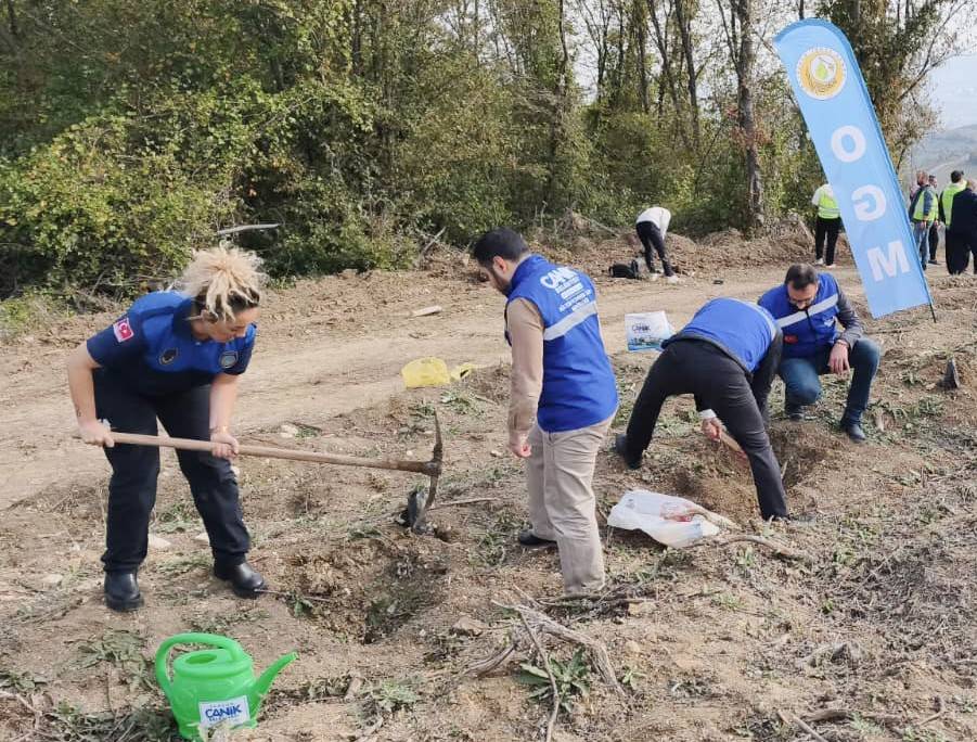 Canik'te fidanlar toprakla buluştu