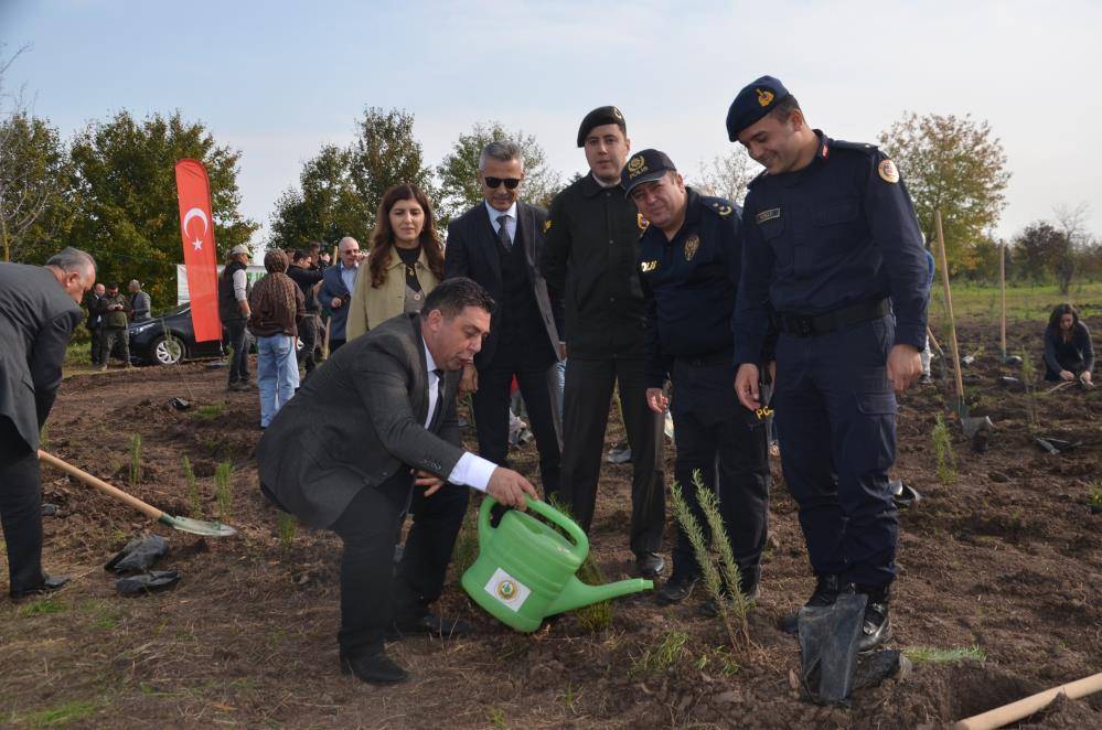 Bafra'da 8 bin fidan toprakla buluştu