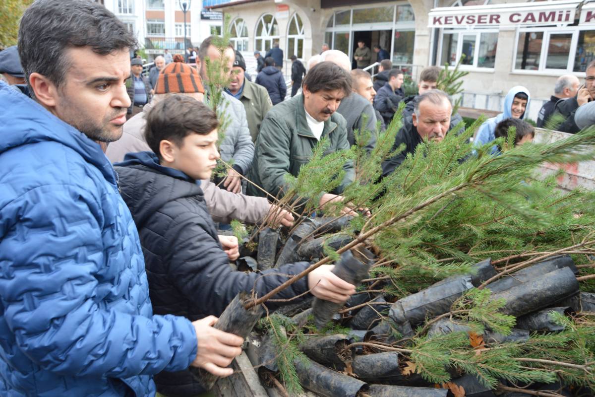 Samsun'da vatandaşlara ücretsiz fidan dağıtıldı