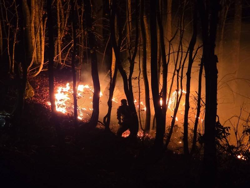 Fındık bahçesinde yakılan otlar orman yangını çıkardı!  Yangın, rüzgarın etkisiyle büyüdü
