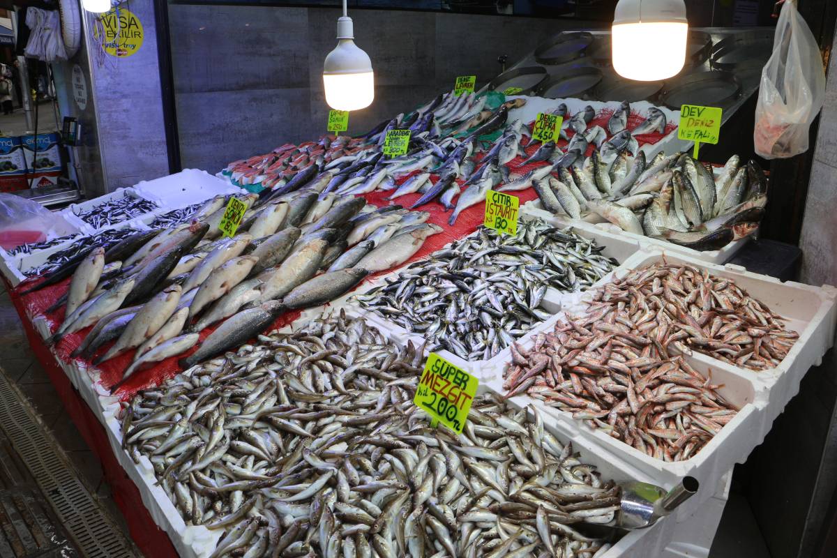 Samsun'da tezgahları hamsi ile doldu