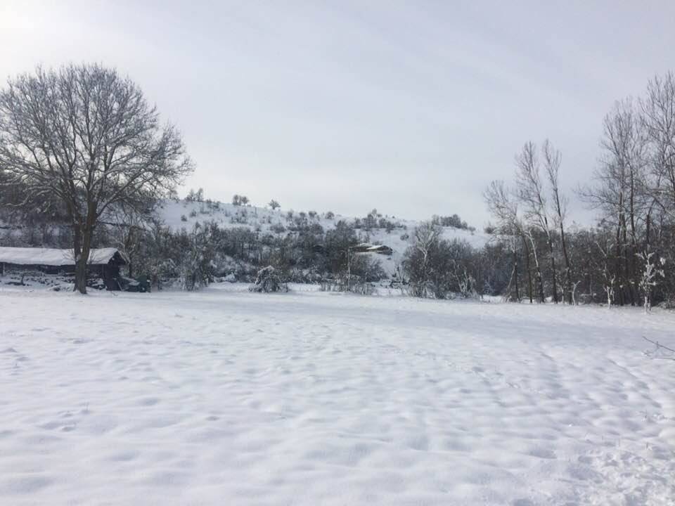 Bu köyde sadece 16 kişi yaşıyor! İşte Samsun'un en küçük köyü