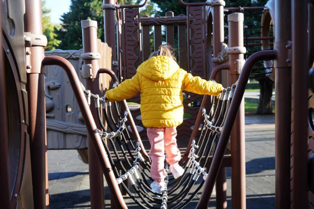 İlkadım Belediye Başkanı Kurnaz: Sahipsiz hayvan problemi ortadan kalkacak
