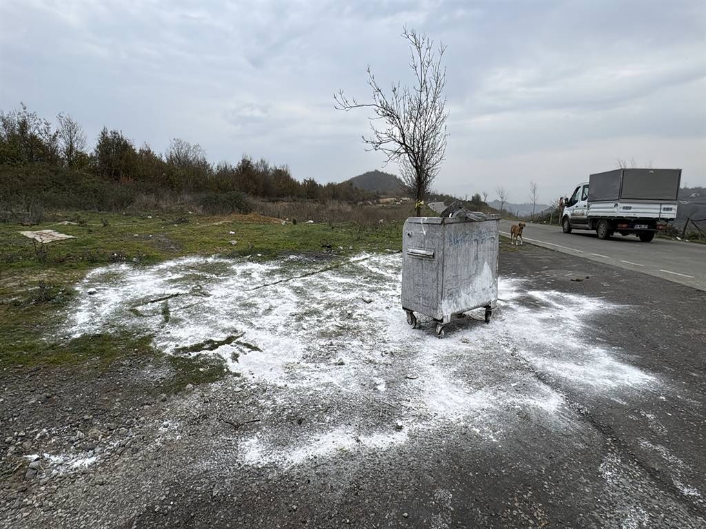 Samsun'da ölü bulunan 9 köpekten alınan doku örnekleri teste gönderildi