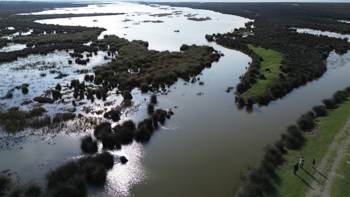 Kızılırmak Deltası Kuş Cenneti'ni kaç kişi ziyaret etti?