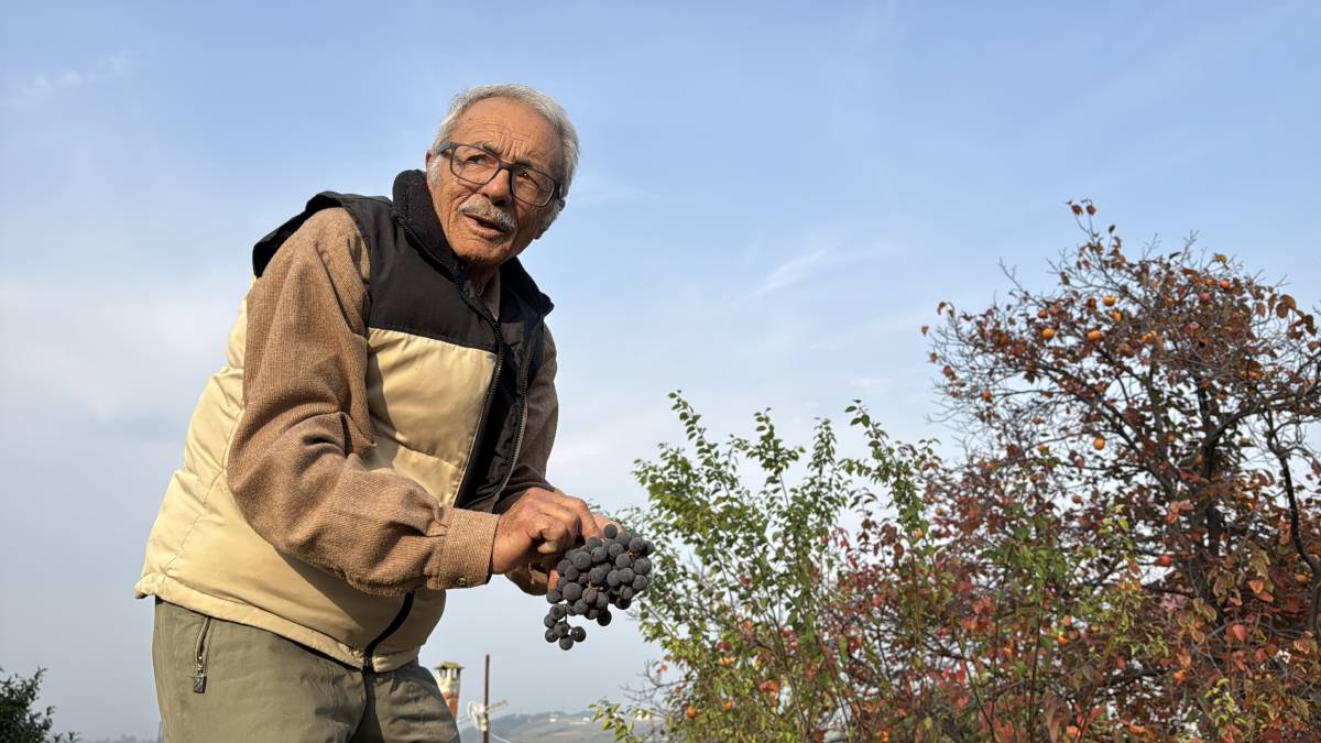 Samsun'da 86 yaşında 54 farklı organik meyve yetiştiriyor