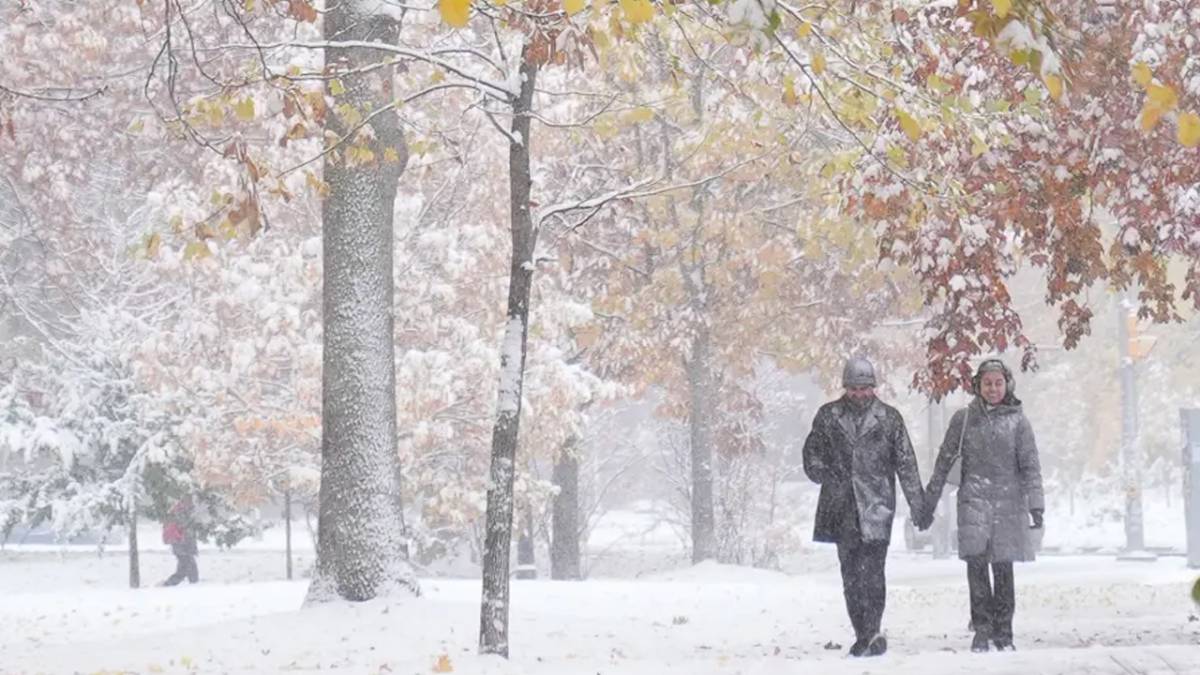 Meteoroloji'den üç il için sarı kodlu uyarı! Kar, sağanak ve sis geliyor