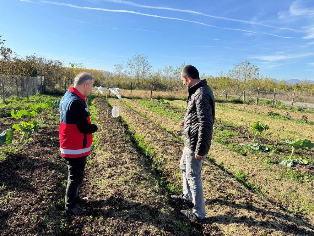 Çarşamba Ovası'nın yeni gözdesi: Salep