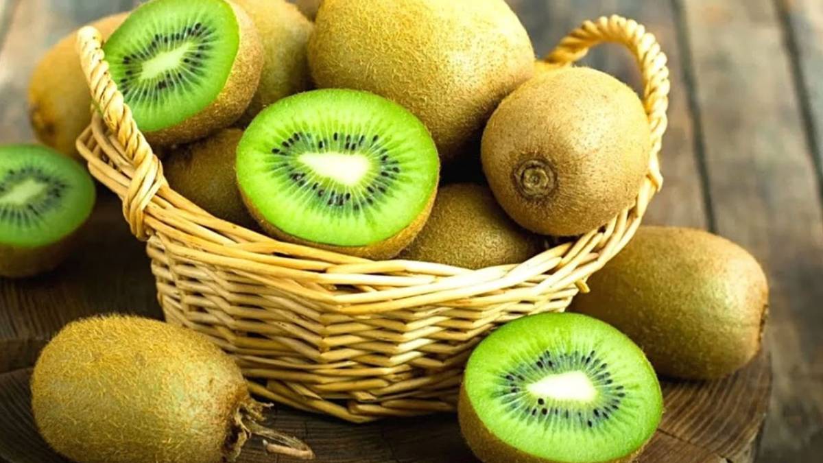 Samsun ekonomisine kivi katkısı! Kivi Samsun ekonomisine ne kadar katkı sağlıyor?